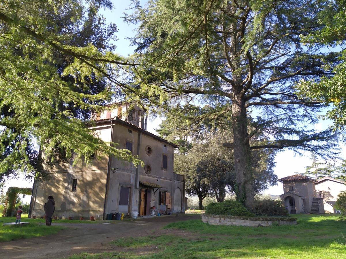 Agriturismo La Villetta San Lorenzo Nuovo Dış mekan fotoğraf