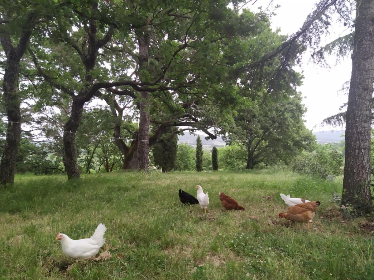 Agriturismo La Villetta San Lorenzo Nuovo Dış mekan fotoğraf
