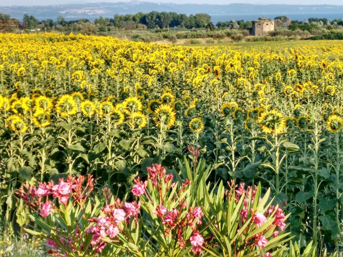 Agriturismo La Villetta San Lorenzo Nuovo Dış mekan fotoğraf