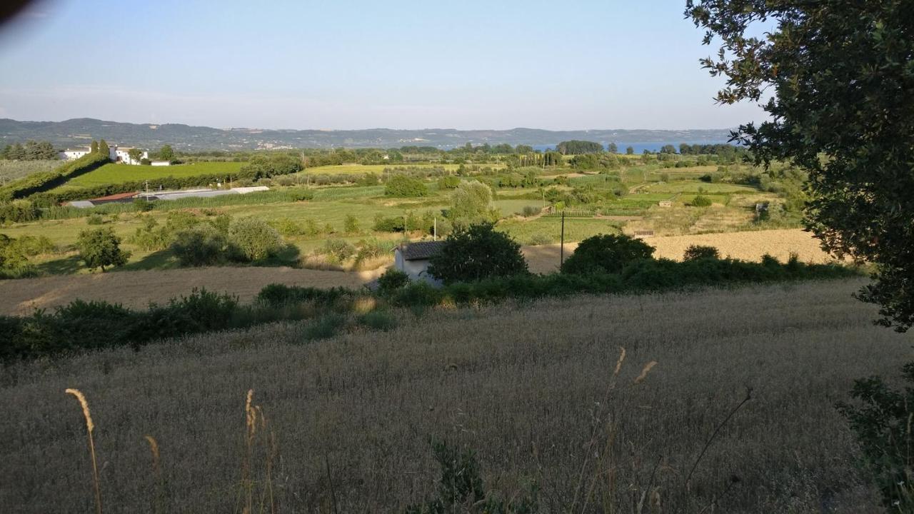 Agriturismo La Villetta San Lorenzo Nuovo Dış mekan fotoğraf