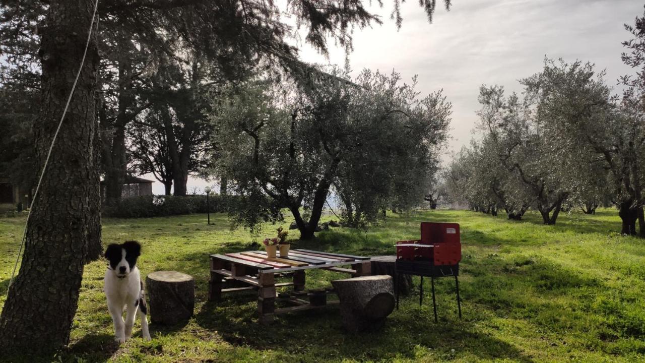 Agriturismo La Villetta San Lorenzo Nuovo Dış mekan fotoğraf