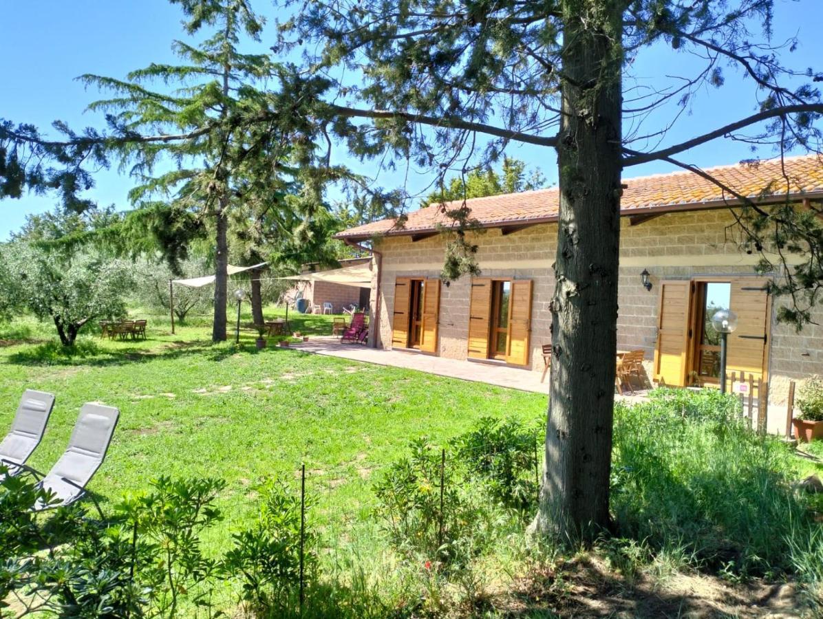 Agriturismo La Villetta San Lorenzo Nuovo Dış mekan fotoğraf