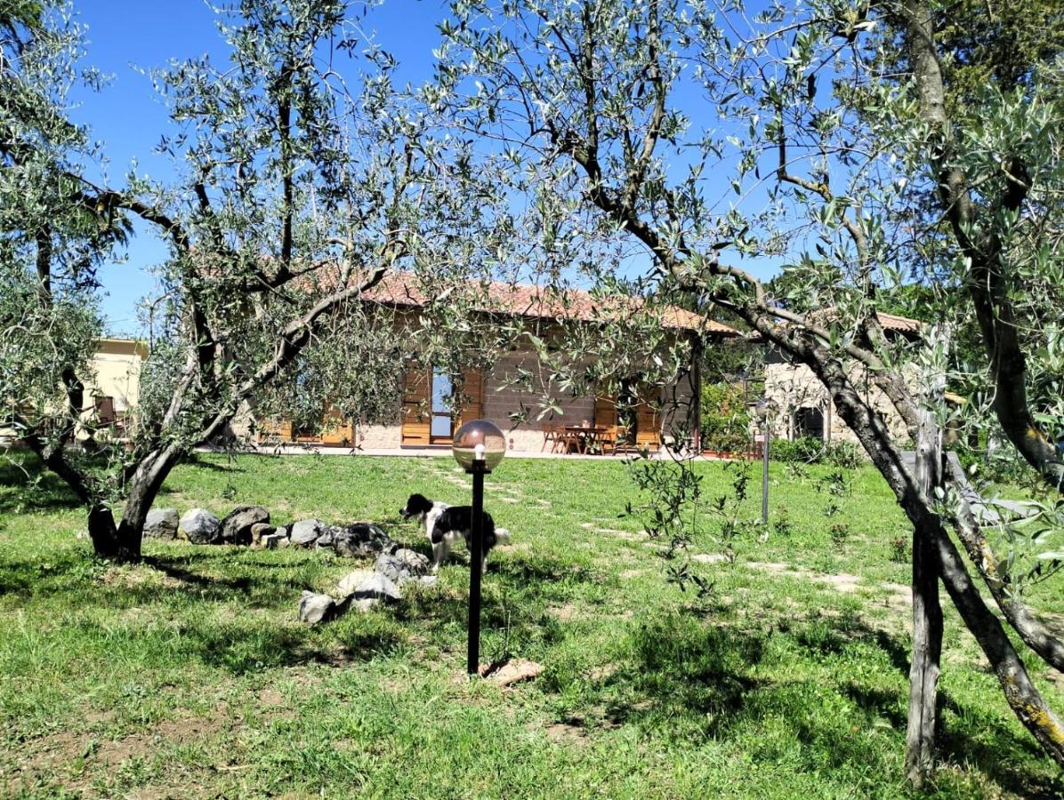 Agriturismo La Villetta San Lorenzo Nuovo Dış mekan fotoğraf